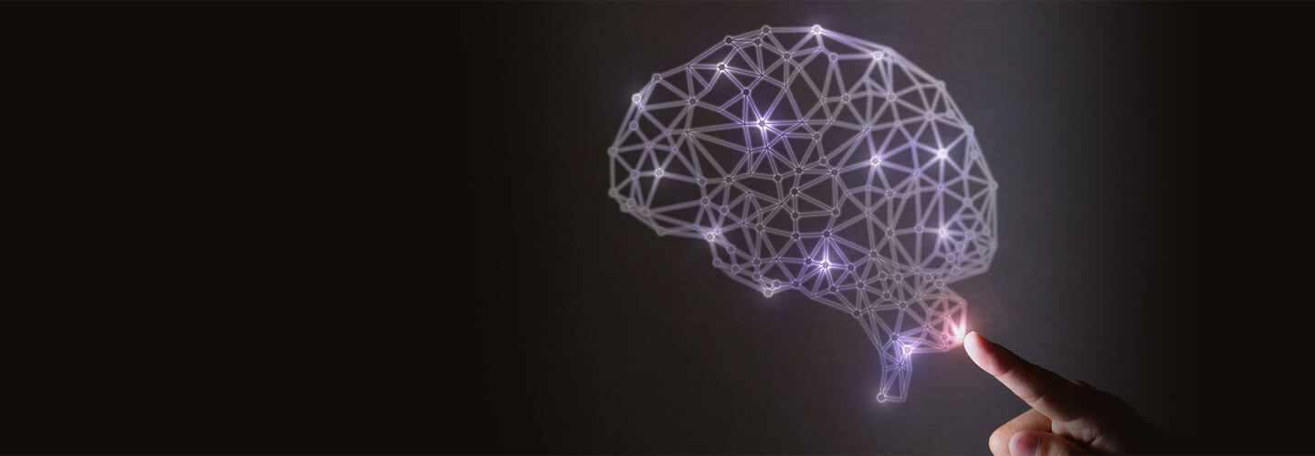 人工知能と脳科学の対照と融合 文部科学省科学研究費 新学術領域研究 16 年度